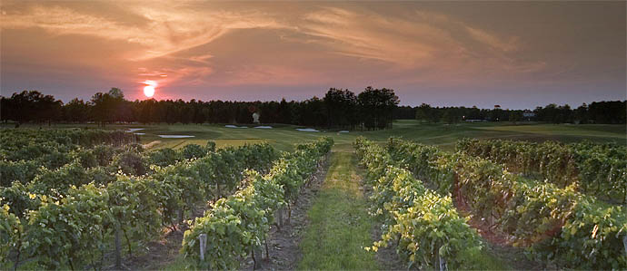 NJ Wine Trail Tours, Nov 19 and Nov 25-27