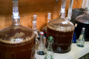 Craft Beer New Jersey Shore | Move Over Kombucha, Kefir Beer Could Be the Next Big Thing in Fermentation | New Jersey Shore