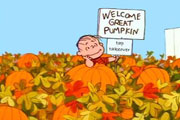 The Great Pumpkin Tap Takeover at Bainbridge Street Barrel House, Oct. 15
