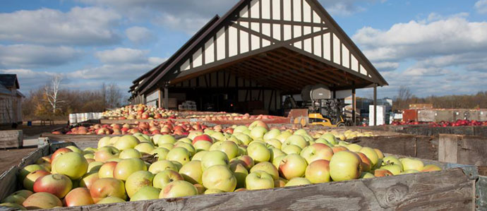 Exploring the Art of Cider Making with Greg Hall of Virtue Cider